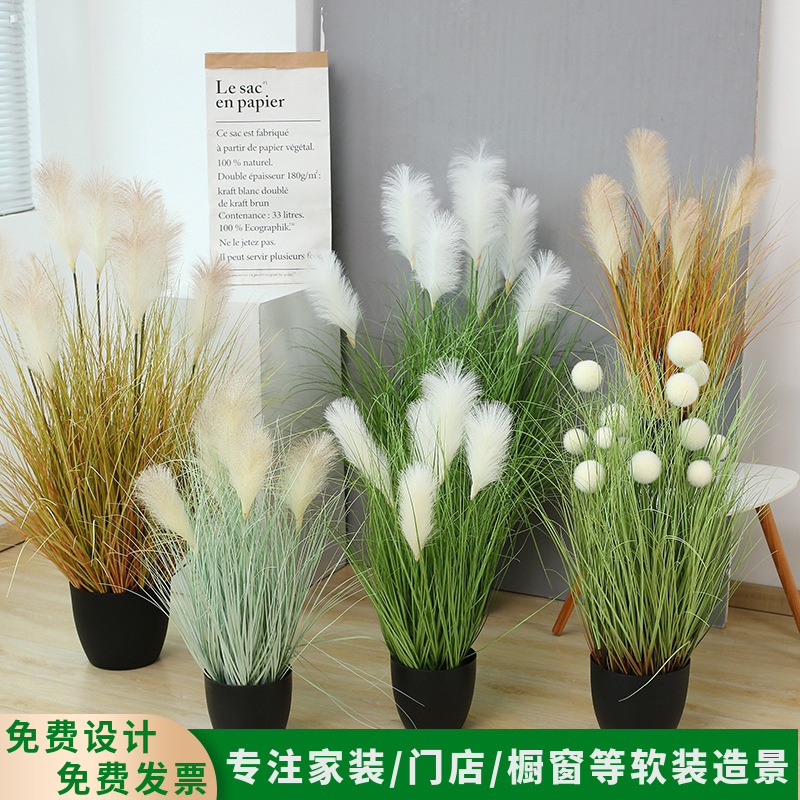 仿真芦苇网红植物盆栽