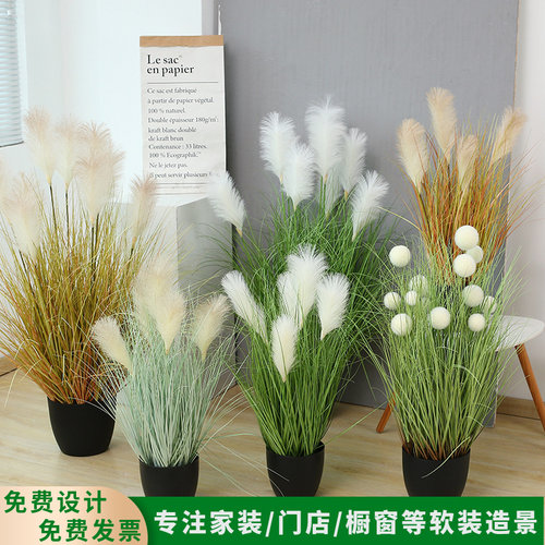 仿真芦苇网红植物盆栽