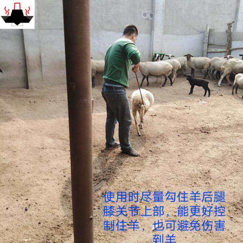 抓羊神器捕捉器捕捉用品实用动物畜牧便携式养殖羊牛羊工具