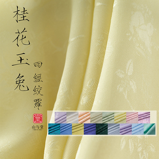 TR塔琳21姆米桑蚕丝四经绞罗春夏布料女士连衣裙服装面料