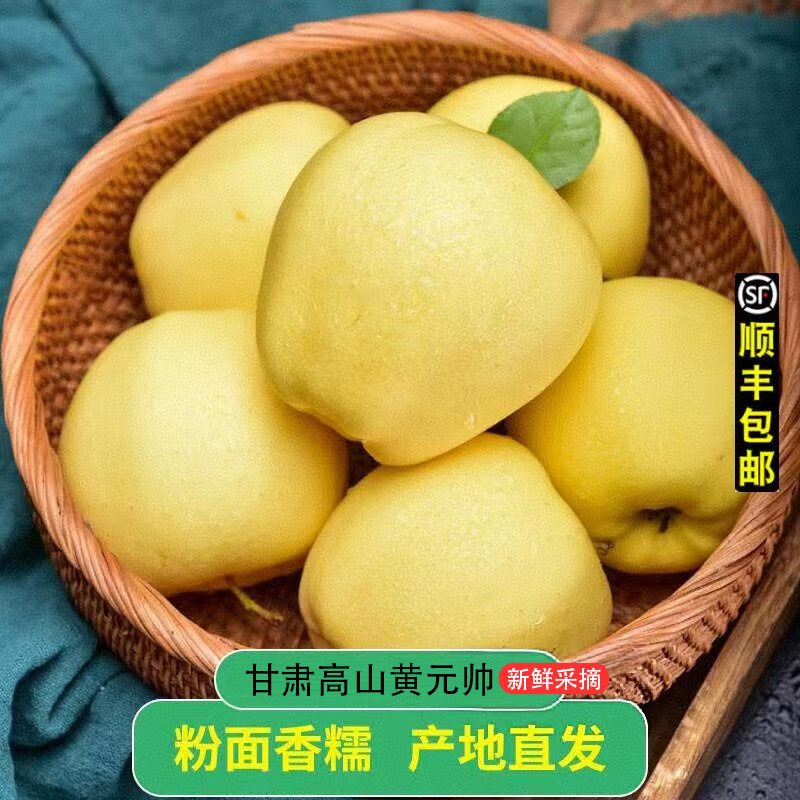 顺丰甘肃黄元帅苹果新鲜应季水果粉面香甜金帅宝宝辅食包邮10斤