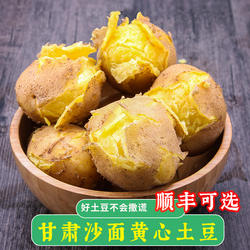 新甘肃沙面土豆新鲜黄皮黄心洋芋正宗定西马铃薯黄心粉糯面包邮