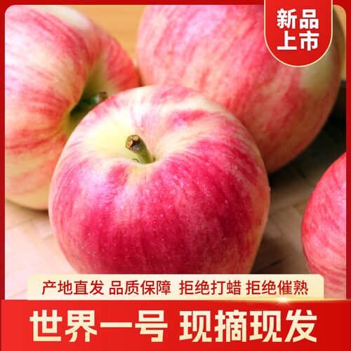 世界一苹果脆甜多汁老少皆宜