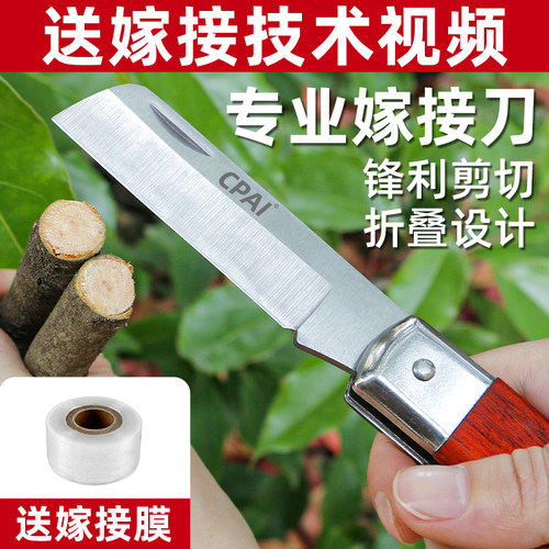 德国进口钢可折叠嫁接刀果树专用