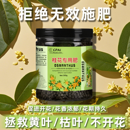 桂花专用肥促进开花营养全面均衡