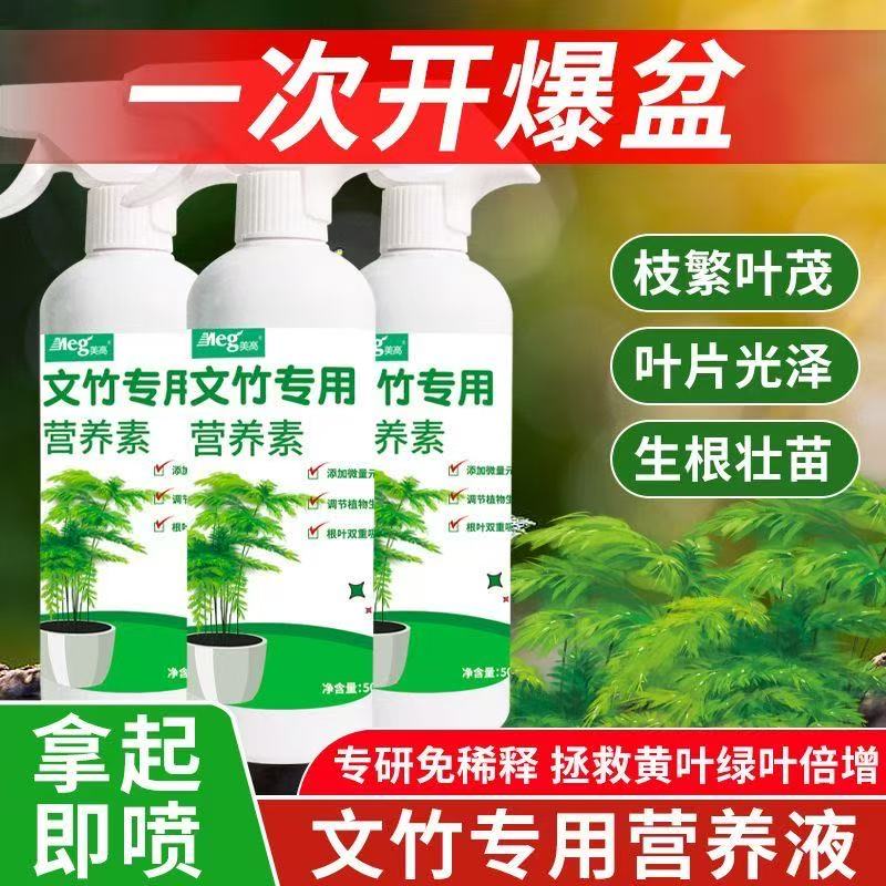 免稀释文竹专用营养液促生长肥料