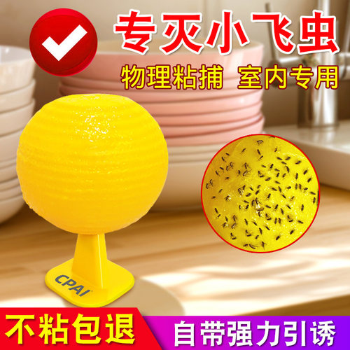 灭杀小飞虫神器果味色诱双重引诱