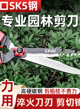 园艺修剪树枝剪刀修枝剪果树专用园林花剪绿化草坪绿篱强力粗枝剪