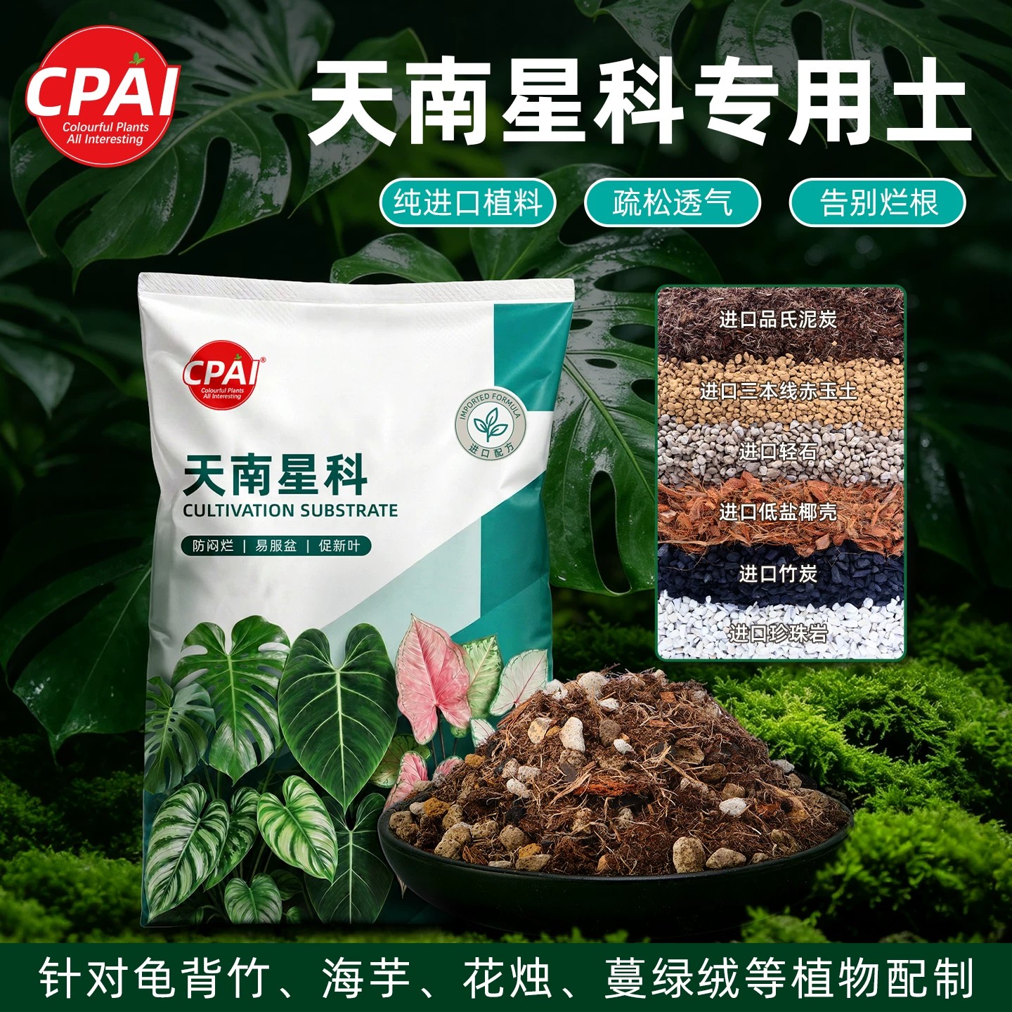 天南星科营养土进口植料科学配比图片