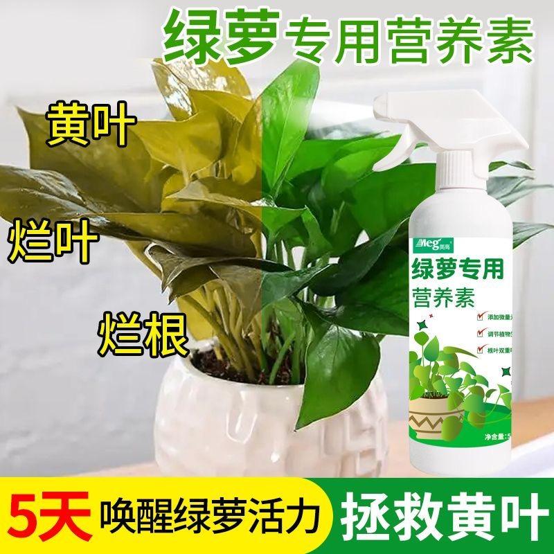 绿萝专用营养液免稀释水培液体肥