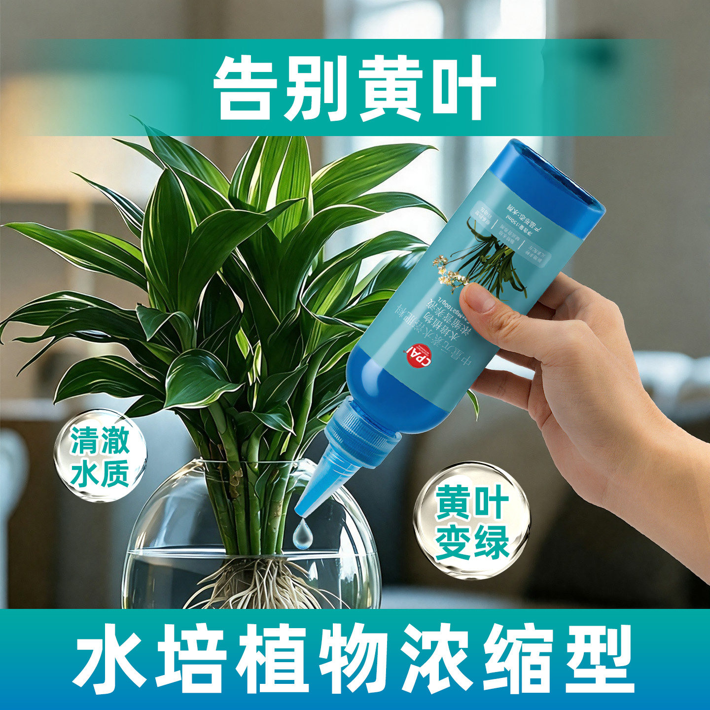 水培植物营养液巴西木碗莲专用富贵竹龟背竹郁金香铜钱草通用肥料