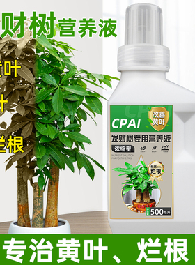 发财树专用营养液肥料黄叶枯叶烂根专用药生根剂绿植物通用活力素