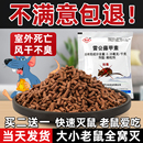 养殖场饭店特高效老鼠药家用药耗子药灭老鼠驱赶神器室外死杀鼠剂