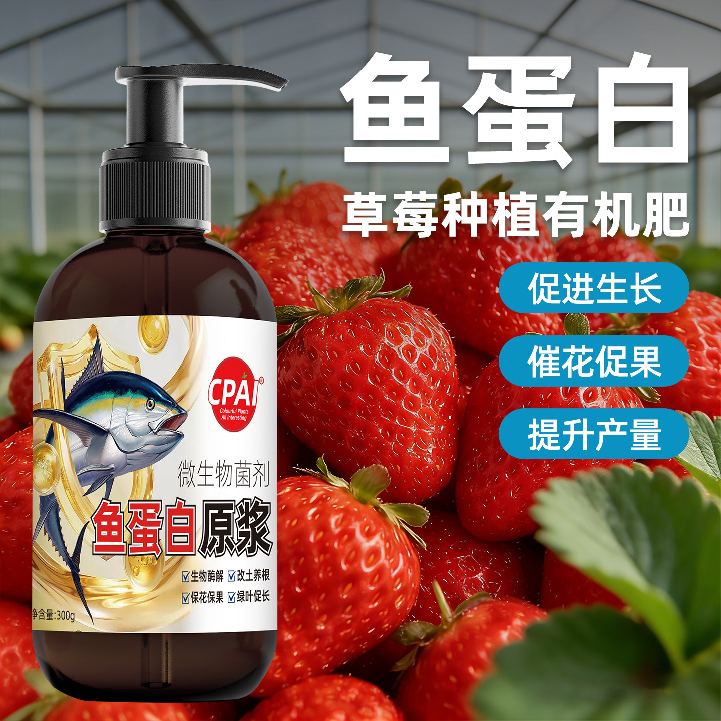 草莓专用肥酶解鱼蛋白原浆膨果增甜水溶肥氨基酸海藻有机叶面肥料,鲜花速递/花卉仿真/绿植园艺,家庭园艺肥料,淘宝优惠券,粉丝福利购,淘宝优惠卷