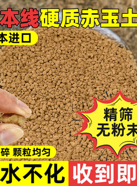三本线赤玉土日本进口盆景专用硬质颗粒爬宠多肉铺面石扦插营养土