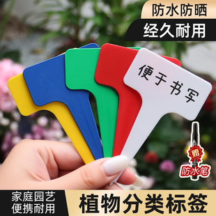 植物标签插牌园艺多肉标签加厚塑料防水防晒花卉专用标识指示牌子