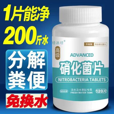 硝化细菌胶囊鱼缸净水剂养鱼用品水族鱼用水质稳定硝化细菌片