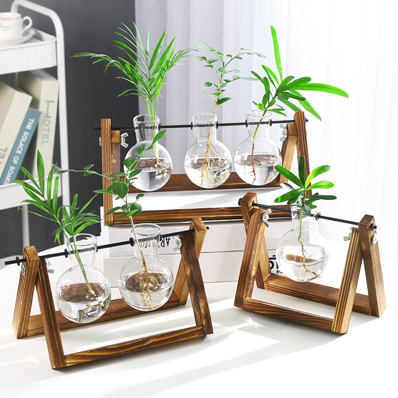 Green walking green plants potted indoor green plants