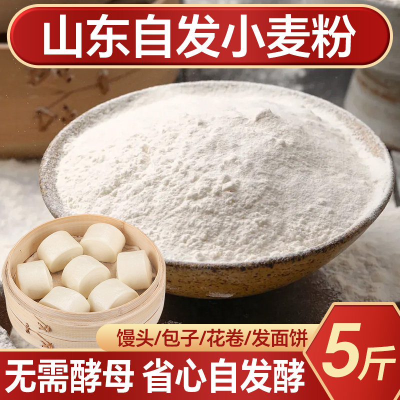 自发粉包子馒头面粉免发酵小麦粉家用5斤自带酵母白面 面粉烘焙花