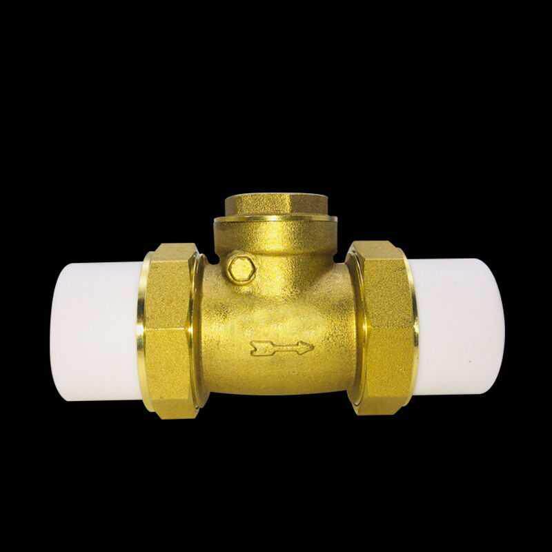 止回阀自吸泵进水口止回阀换气热水不锈钢压力罐回水阀止回阀