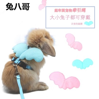 宠物用品兔兔牵引绳溜兔绳大小可调节天使翅膀兔子外带方便包邮