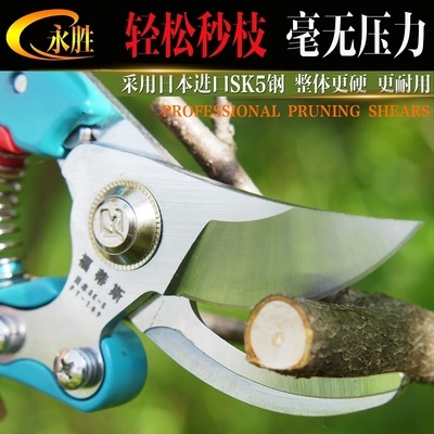 修剪树枝剪刀剪枝园林粗枝果树花剪盆景园艺花强力花艺剪花枝剪子_虎窝淘