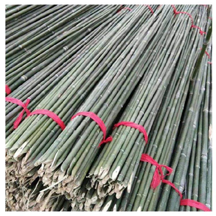 缸豆架子园子耐用苦瓜架我要买篱笆墙院子农场棚架攀爬架种菜架.