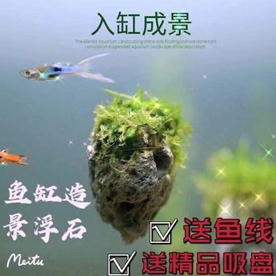 轻石水族造景仿真漂浮石水草缸鱼缸悬浮石莫斯石头乌龟浮石浮台