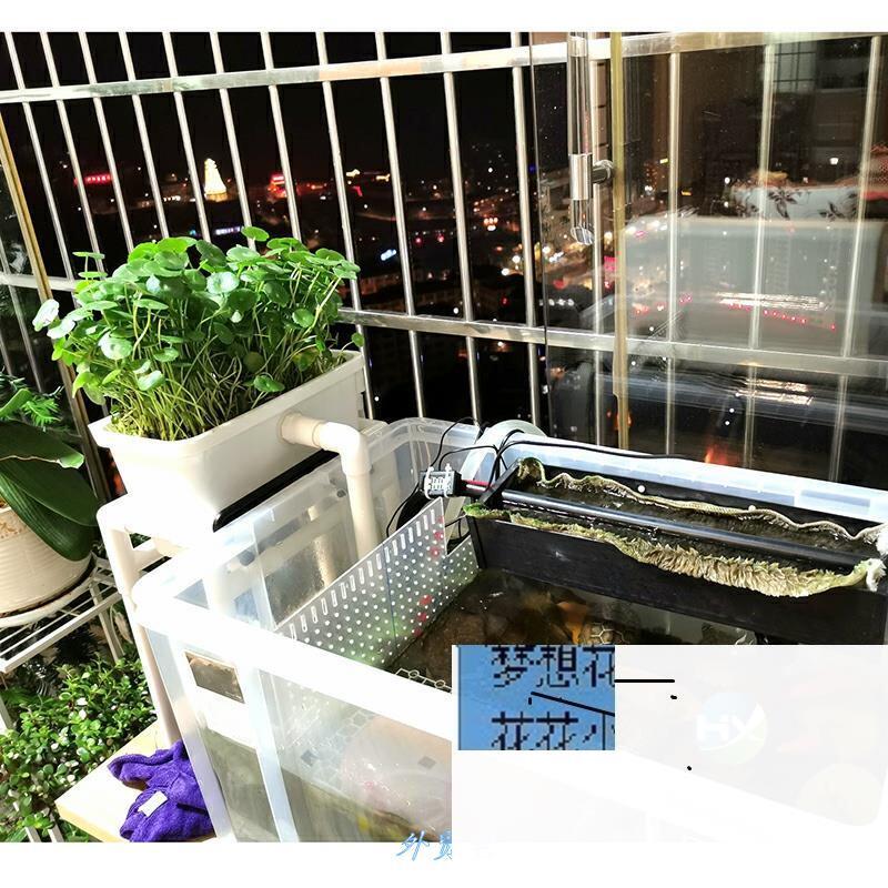 沼泽过滤植物过滤箱自制diy配件全套小型乌龟缸周转箱养殖箱实用