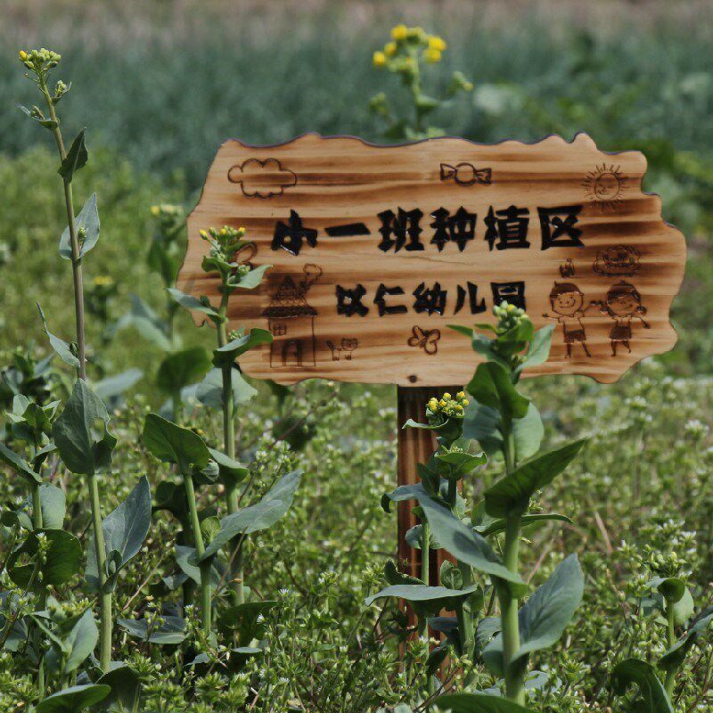 实木园艺植物标签牌木质插地牌户外指示标识牌幼儿园菜园告示木牌图片