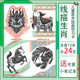 线描版 十二12生肖临摹卡少儿儿童创意美术绘画室学生马克笔素材