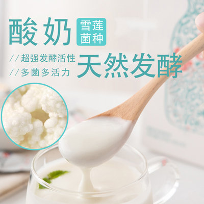 西藏雪莲菌种藏灵菇菌天山雪莲菌自制酸奶太阳菌开菲尔菌乳酸菌种