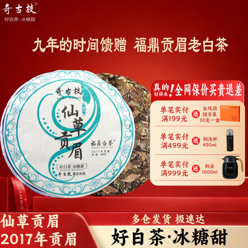 奇古枝福鼎白茶2017年一级贡眉