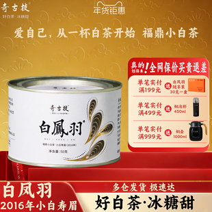 奇古枝福鼎白茶2016白凤羽马口铁罐装50g 16年小白寿眉