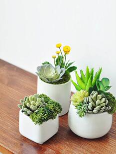 仿生绿植小型工位氛围布置办公桌室内装饰品摆件客厅迷你小盆栽