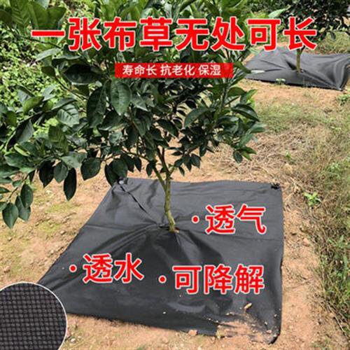 新品新型防草布地布z农用盖草布地布果园除草布透气园R艺耐用新型