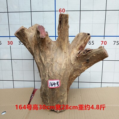 毛料化料摆景diy红雕根血枯木陈柏树装饰随手件型料练柏木造根