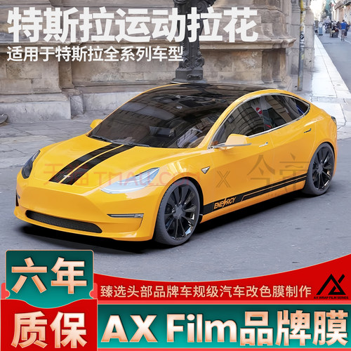 头部品质特斯拉运动拉花
