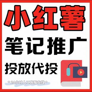 小红xhs书2025代投小红薯推广笔记投放作品xhs运营小红xh书小眼睛