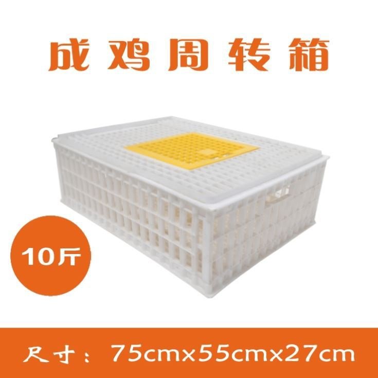 鸡笼家用大号特j大养殖运输笼塑料笼子周转箱鸭笼家禽鸡鸭筐鸭