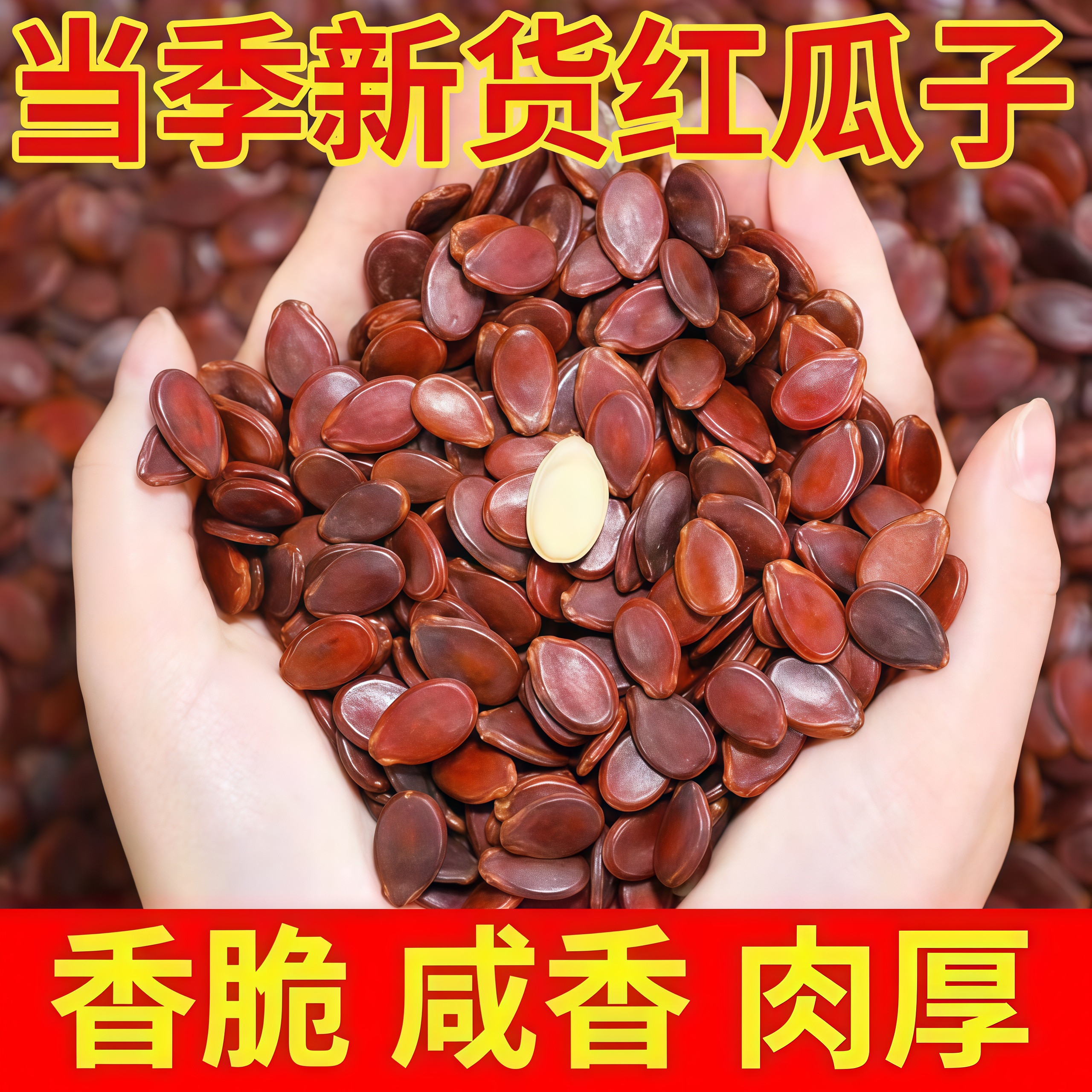农小二内蒙古红西瓜子生熟红瓜子