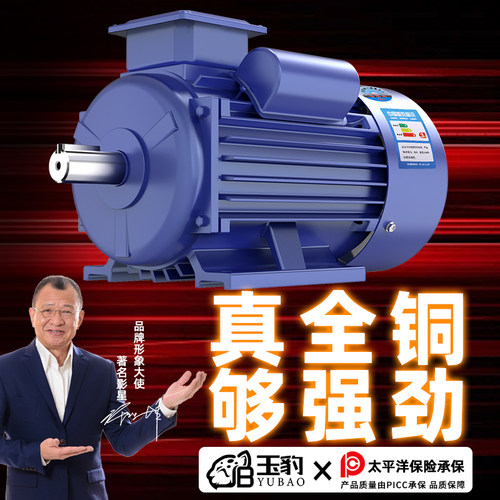 单相电机220V纯铜线小型两相0.75/1.1/1.5/2.2/3KW高速异步电动机