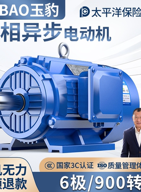 三相异步电动机6极1.5/2.2/3/5.5/7.5/11/15/22/30/45KW电机380V
