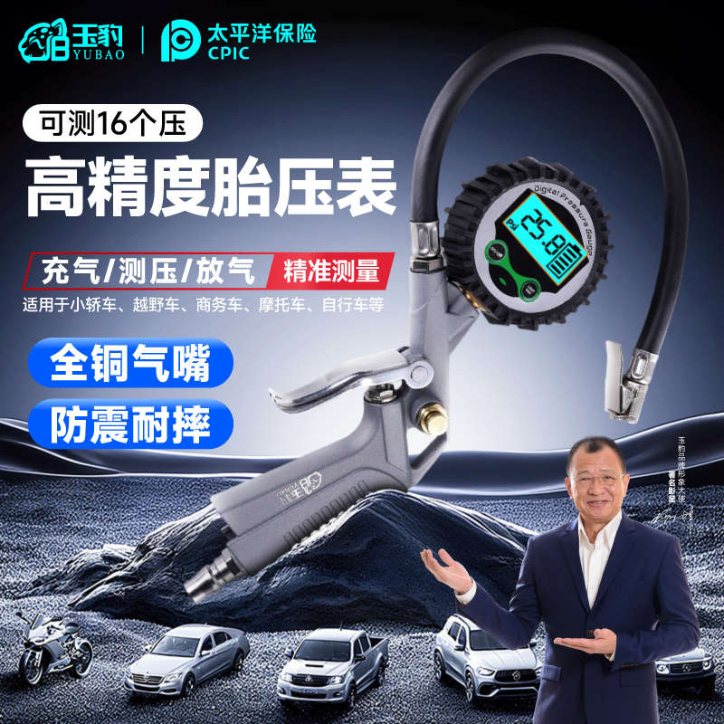 【全铜气嘴防震耐摔】气动胎压表