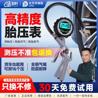 【30天免费试用】气动胎压表