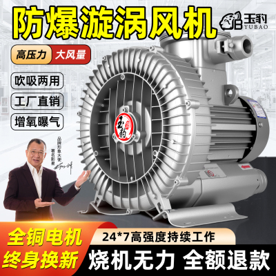 防爆漩涡风机增氧罗茨涡轮380V大功率强力吸工业鼓风机旋涡式气泵