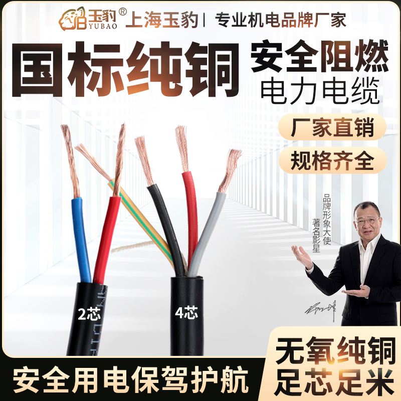 铜芯电线电缆线2芯4芯1/1.5/2.5/4/6/10平方国标黑色防水电源线