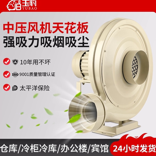 离心式鼓风机中压风机220V工业强力排烟木工吸尘雕刻抽风机大功率