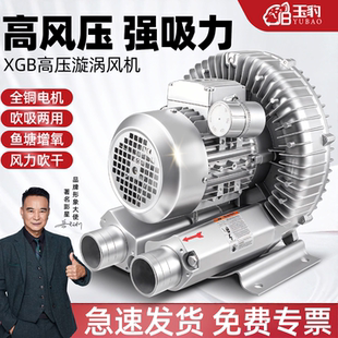 高风压强吸XGB高压漩涡风机增氧工业220/380v鼓风机罗茨涡轮气泵