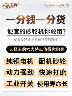 磨刀机轮打磨台式 工业级砂轮机沙家用小型重型电动立式 落地除尘式